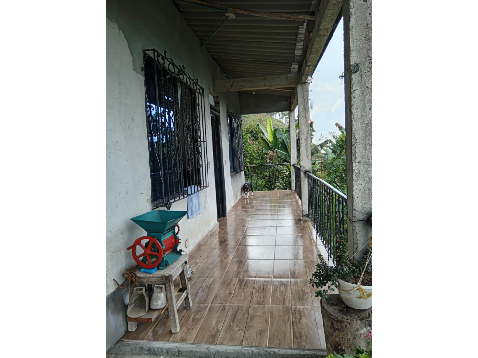 SE VENDE FINCA EN COMBIA PRODUCTORA DE CACAO, PLÁTANO, AGUACATE Y CAFÉ — foto 6