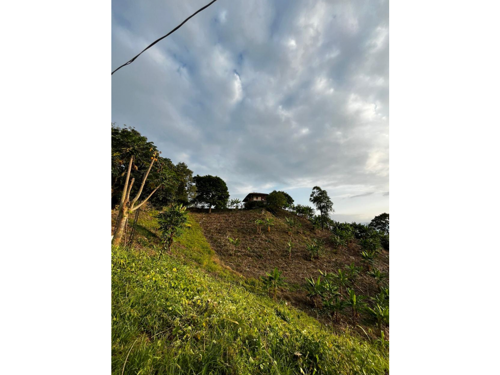 SE VENDE FINCA ENTRE LA VIRGINIA Y SANTUARIO - 6