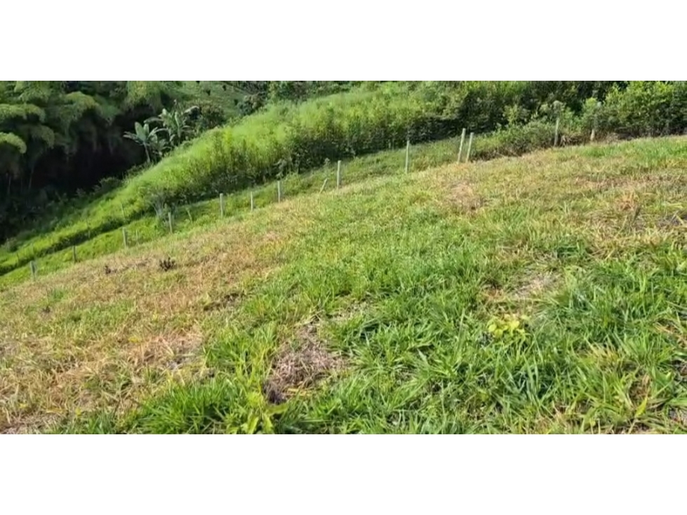 SE VENDE O PERMUTA LOTE EN PARCELACION CERCA DE ALCALA AREA 2500M2 — foto 6