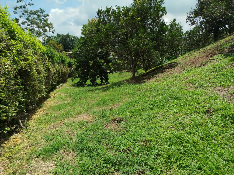 Se venden 2 lotes en Combia Pereira? de 1.330 m² y 1.780 m² — foto 6