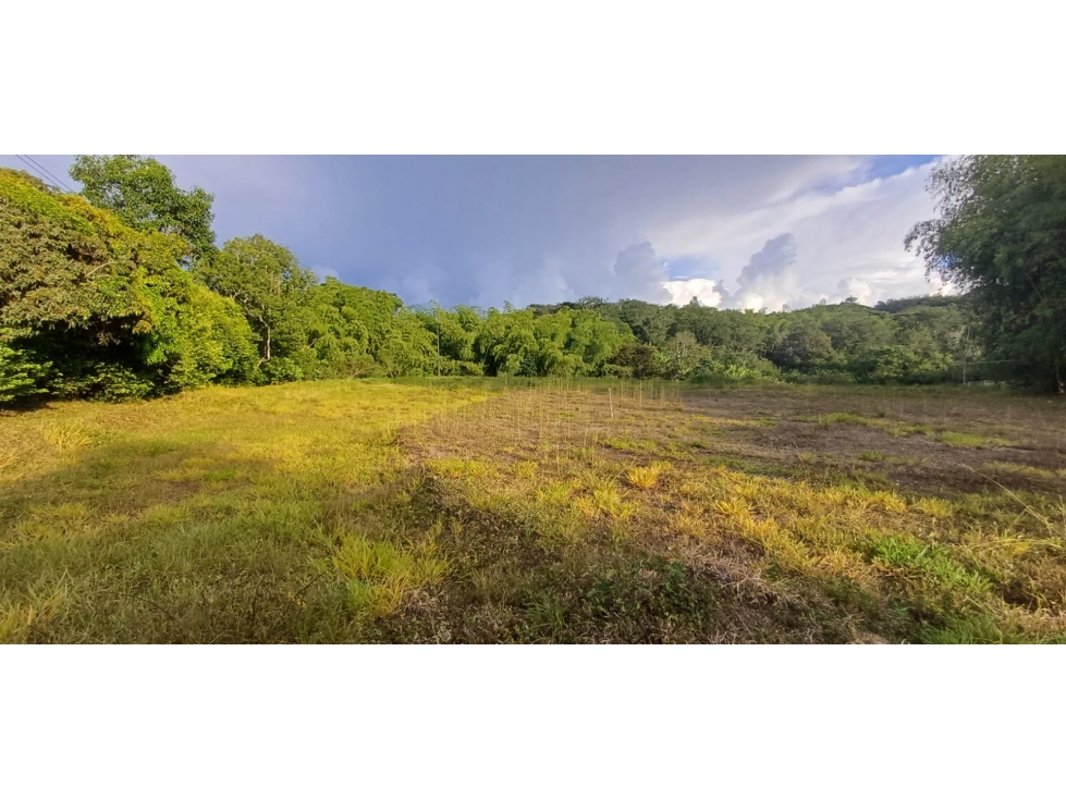 Se venden hermosos lotes en parcelacion en el sector de cerritos ! — foto 5