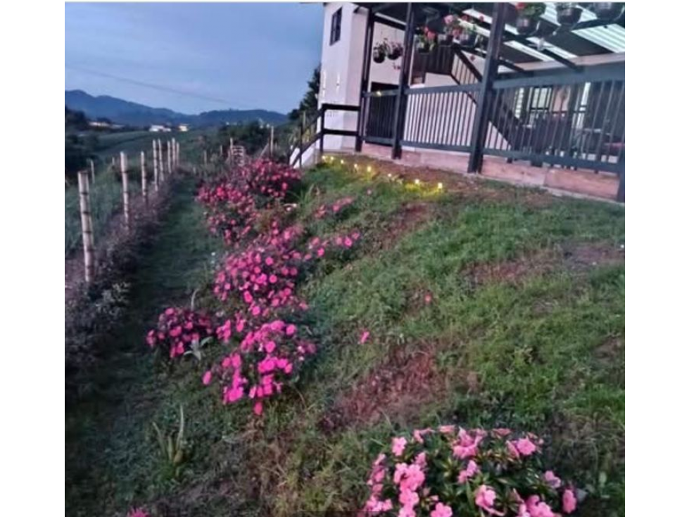 VENDE O PERMUTA CASA CAMPESTRE LA BELLA AREA 3500 M2 EXCELENTE VISTA — foto 6
