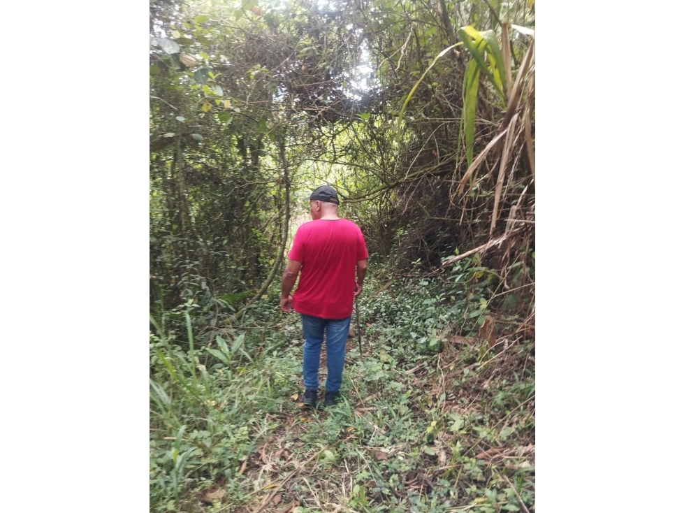 SE VENDE FINCA PARA INVERSIÓN POR MUNDO NUEVO ALTO — foto 6