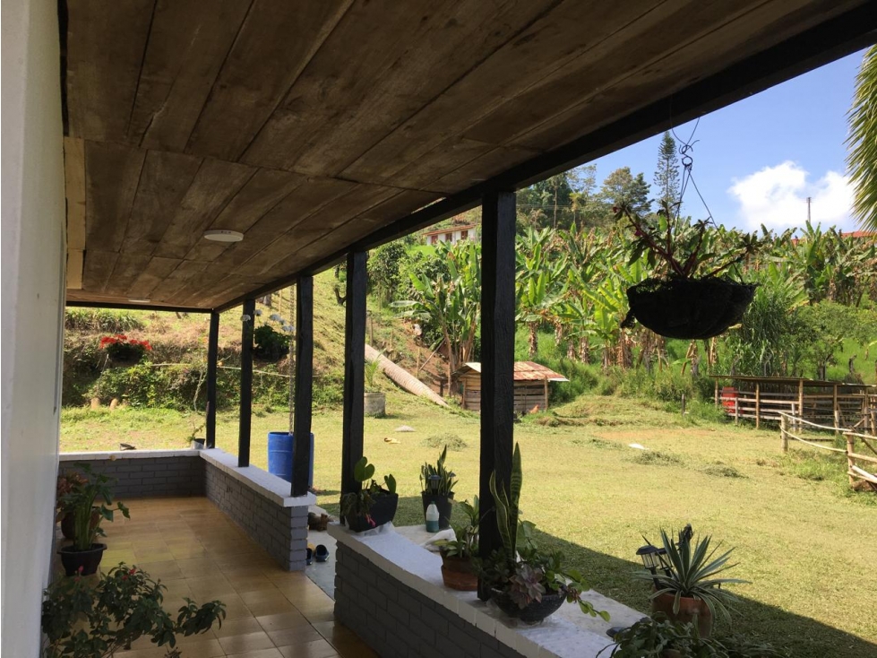 SE VENDE O SE PERMUTA FINCA VIA MARSELLA EXCELENTE UBICACIÓN - 6