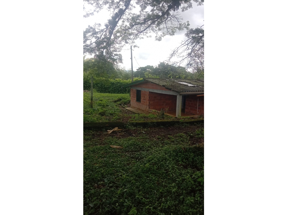 SE VENDE LOTE CON CASA SOBRE VIA PRINCIPAL ENLA PALMILLA — foto 6