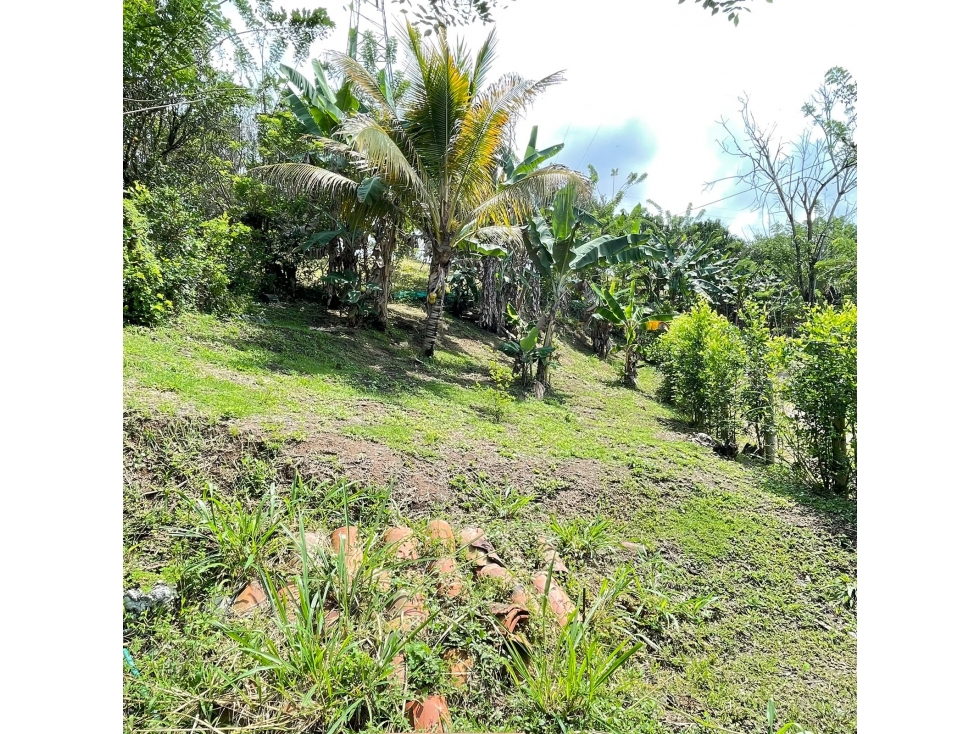 Se vende finca en Belalcázar 500m² solo efectivo - 6