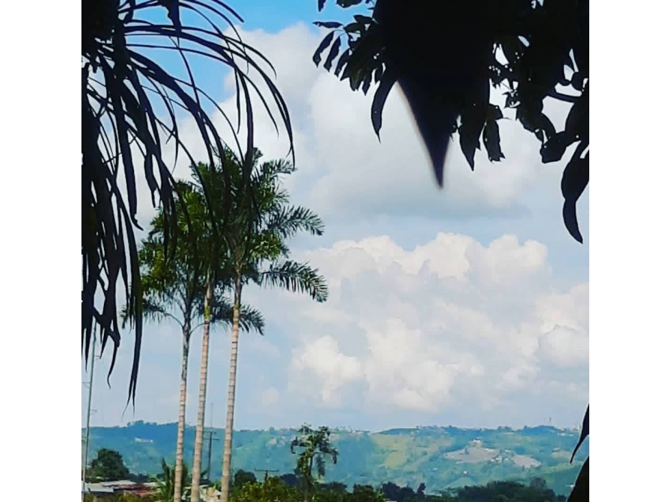 SE VENDE HERMOSA FINCA EN SANTA ROSA — foto 6