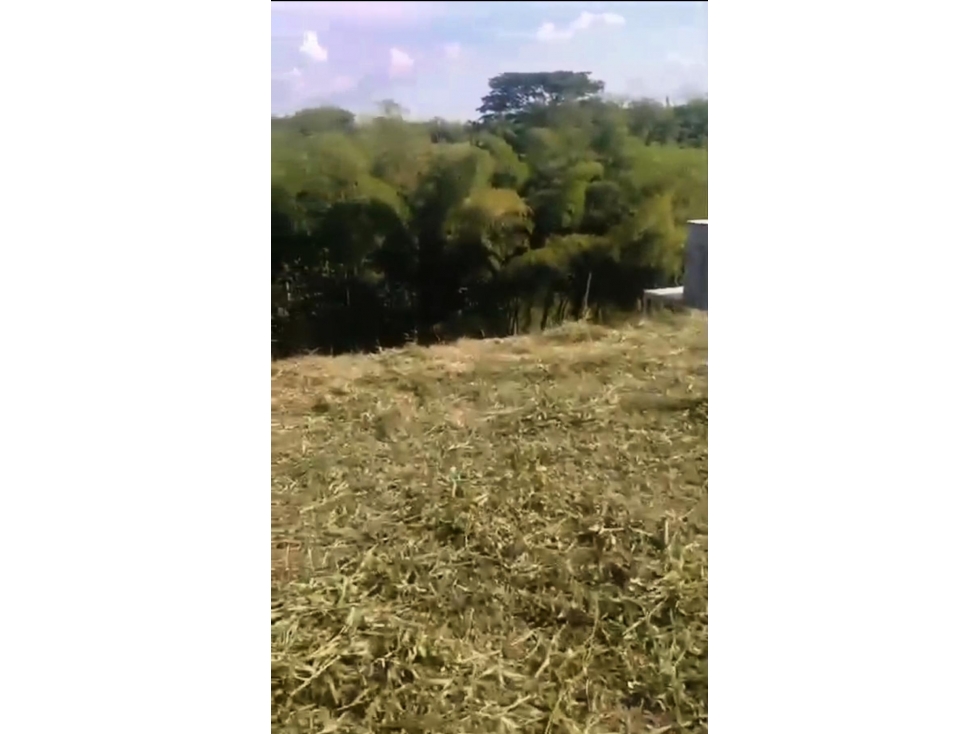 Se vende lote campestre en Parcelación Via Alcala — foto 5