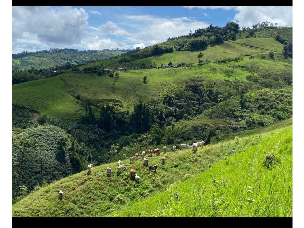 Venpermuta menor valo hermosa finca en combia 52 cuadras en pasto — foto 5