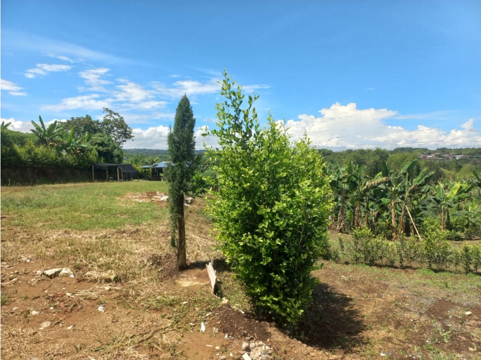 SE VENDE LOTE EN BETULIA EN PARCEALCION AREA 1237 - 6
