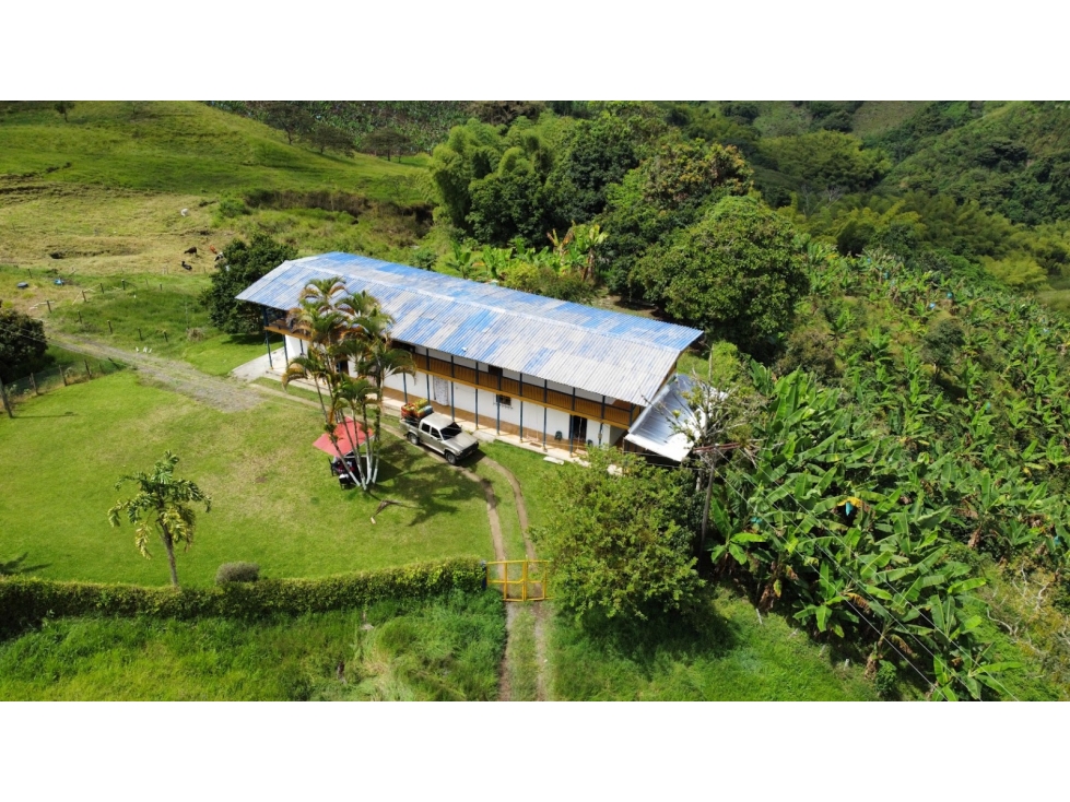 SE VENDE FINCA GANADERA ENTRE ARABIA Y ALCALA - 5