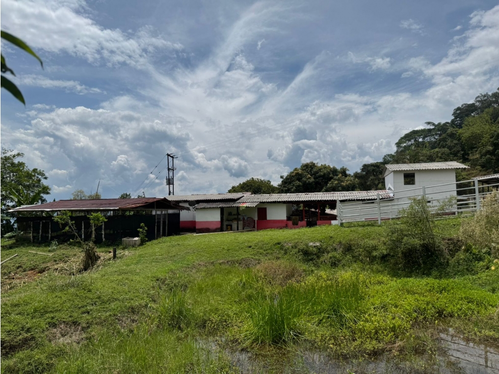SE VENDE FINCA VIA BELALCAZAR CALDAS — foto 6