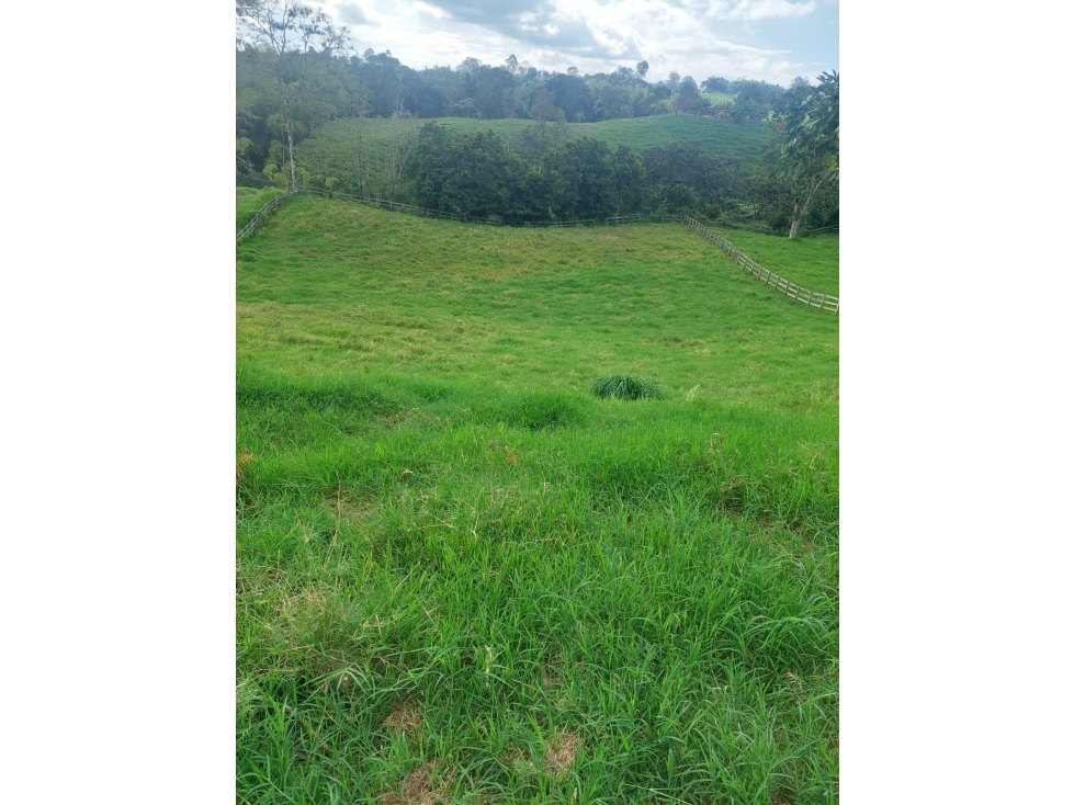 SE VENDE FINCA EN FILANDIA 12 CUADRA Y MEDIA - 6