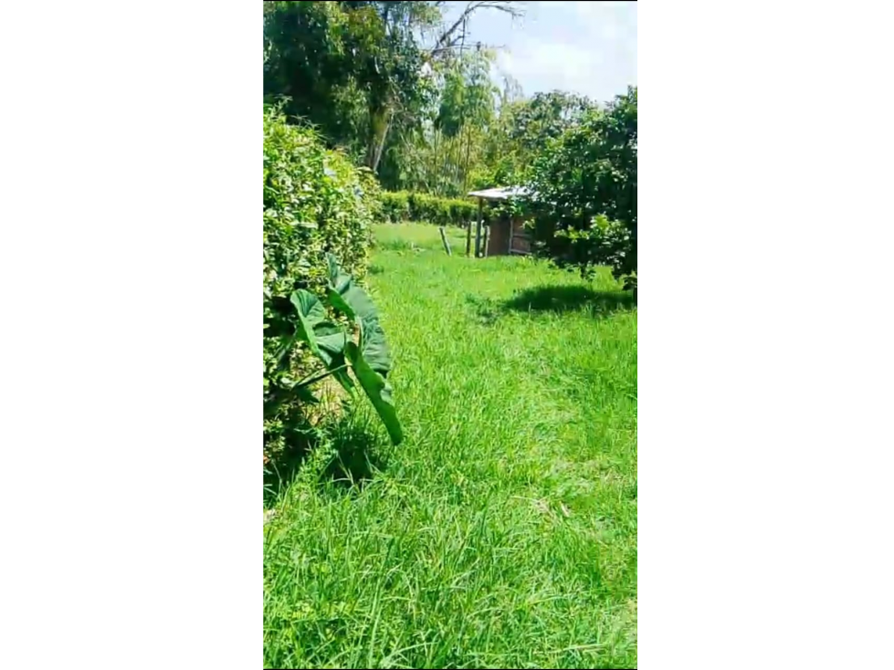 SE VEND LOTE EN CUBA PARA URBANIZAR AREA 42.000 M2 - 6
