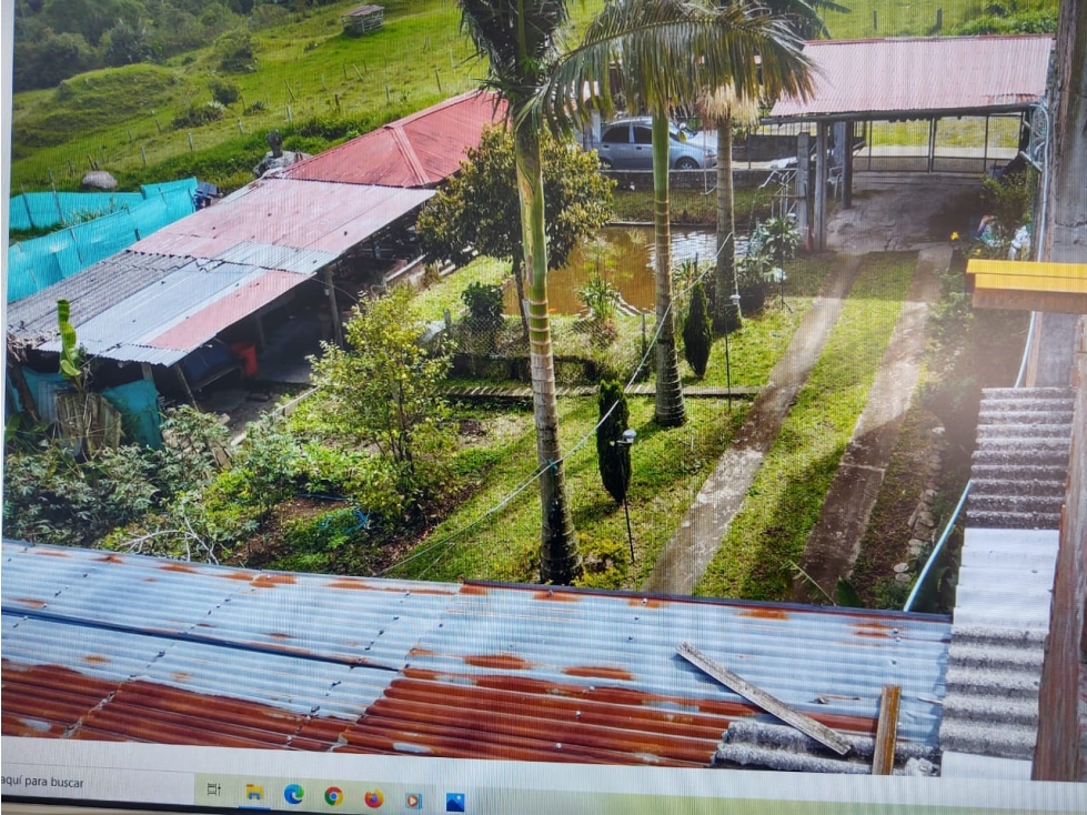 se vende Finca en el Corregimiento de la Florida — foto 3