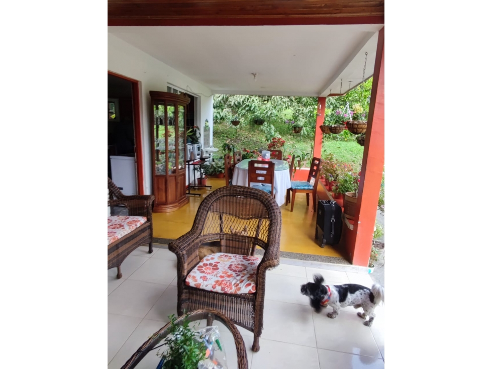 Vendo Finca en Viterbo - Via San Jose — foto 3