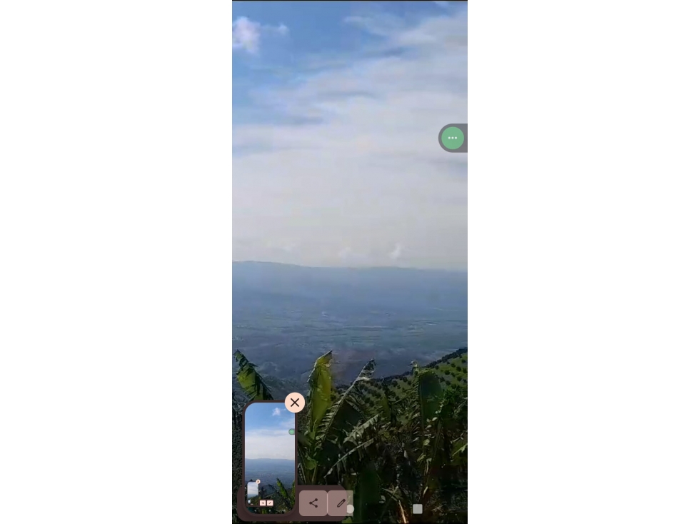 Vendo hermosa finca entre Apia y Viterbo cultivo de cafe y varios - 5