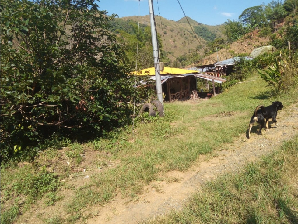 Espectacular terreno para una futura finca turistica Anserma Caldas - 3