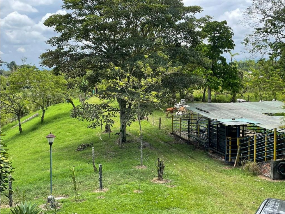 SE VENDE FINCA EN ALCALA CON 8 CUADRAS - 5