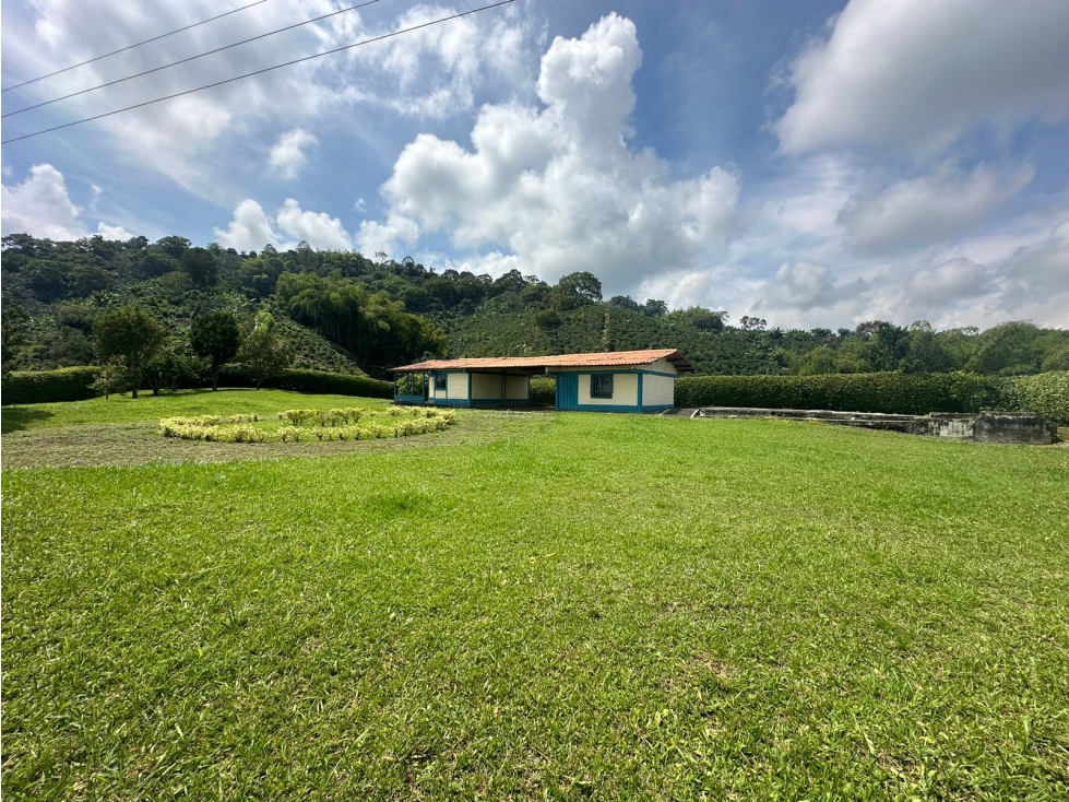 Venta de finca cafetera y aguacatera en el corregimiento de Arabia — foto 2