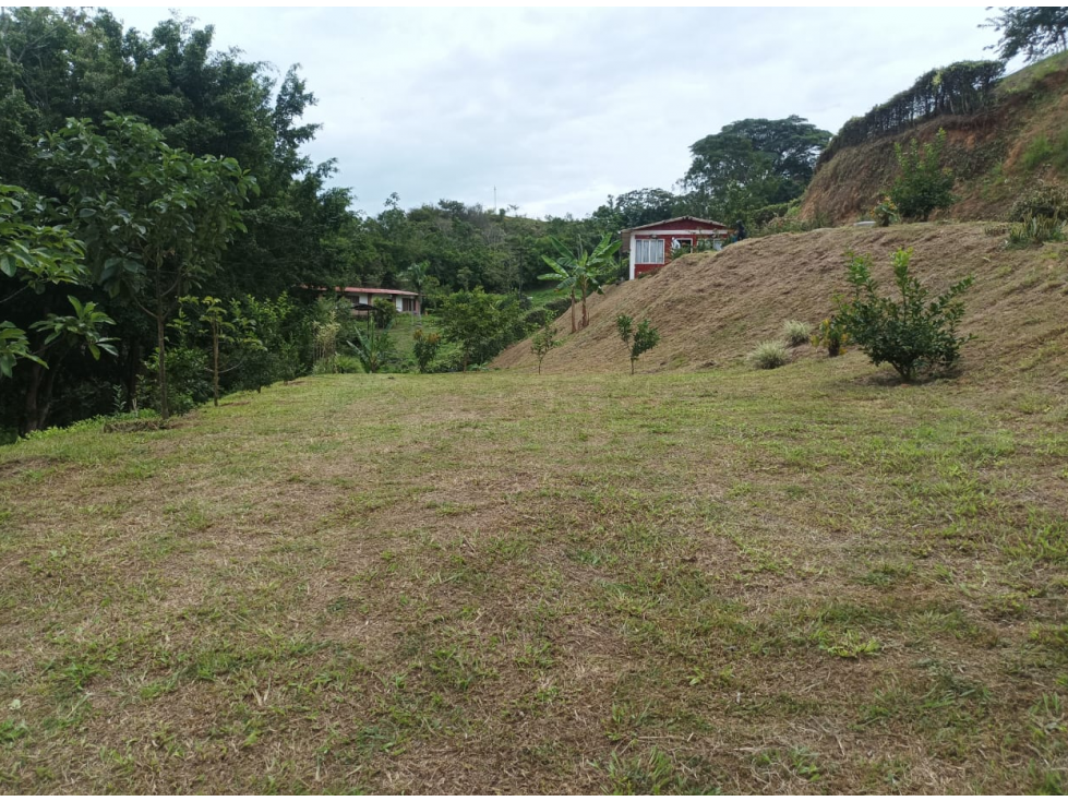 SE VENDE CASA CAMPESTRE EN VITERBO EN CONDOMINI0 - 6