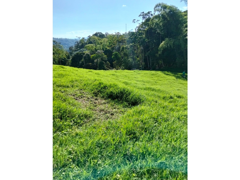 SE VENDE LOTE EN LA BELLA AREA 2620.60 M2 PARA LA CASA DE SUS SUEÑOS — foto 2