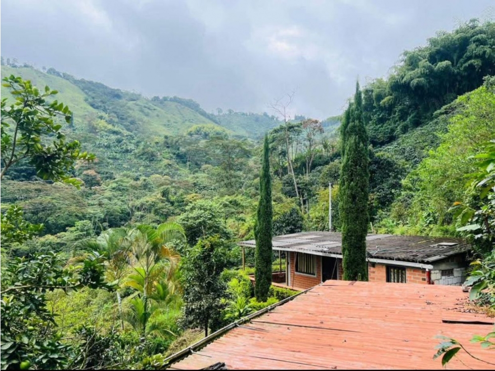 se vende finca con 2 casas campestres por santa rosa de cabal — foto 4