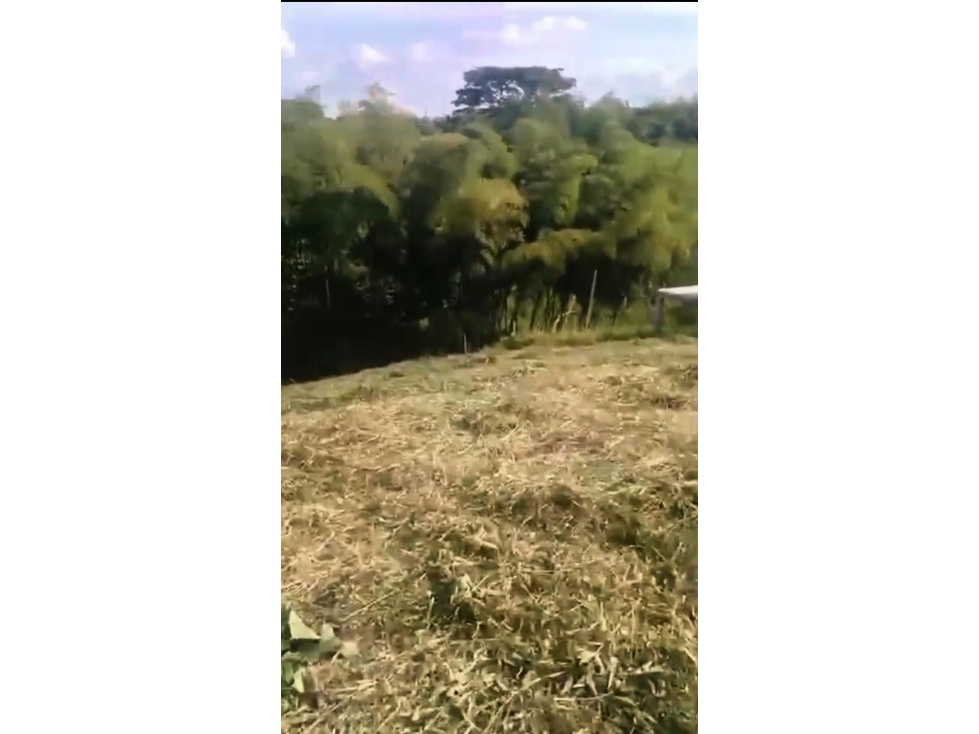 Se vende lote campestre en Parcelación Via Alcala — foto 6