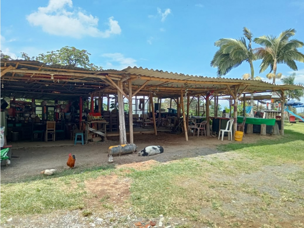 SE VENDE FINCA EN SANTA ROSA VEREDA GUACAS — foto 2