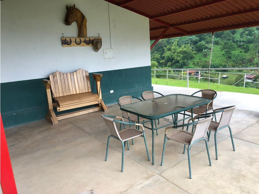 Vendo hermosa finca aguacatera en la florida — foto 4