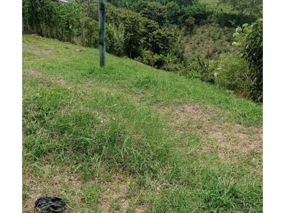 SE VENDE LOTE EN ARABIA TIENE CARRETERA PAVIMENTADA — foto 3