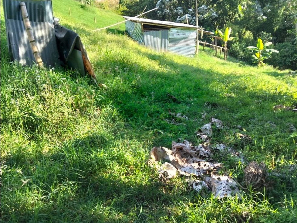SE VENDE LOTE EN LA BELLA AREA 2620.60 M2 PARA LA CASA DE SUS SUEÑOS — foto 5