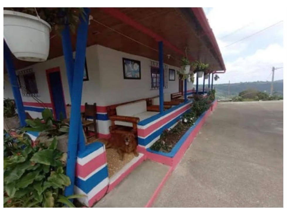 SE VENDE HERMOSA FINCA GANADERA EN LA BELLA CON PROYECTO TURISTICO — foto 6