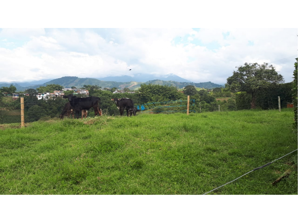 Se vende finca a 10 min de la casona via armenia — foto 5