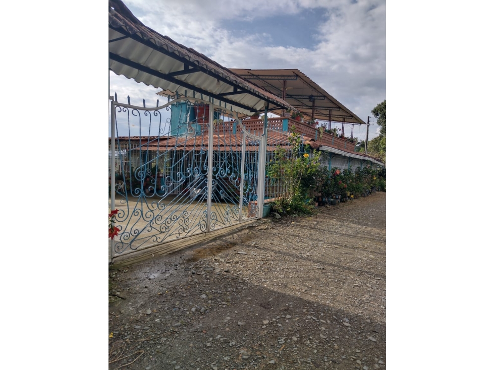 Se vende espectacular finca en Salento - 1