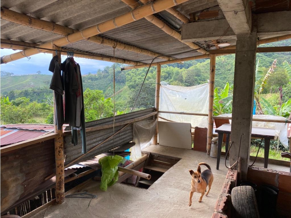 SE VENDE CASA CAMPESTRE CERCA A LA FLORIDA — foto 5
