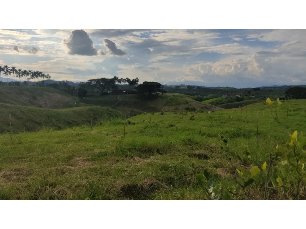 SE VENDE LOTE EN ALCALA - 1
