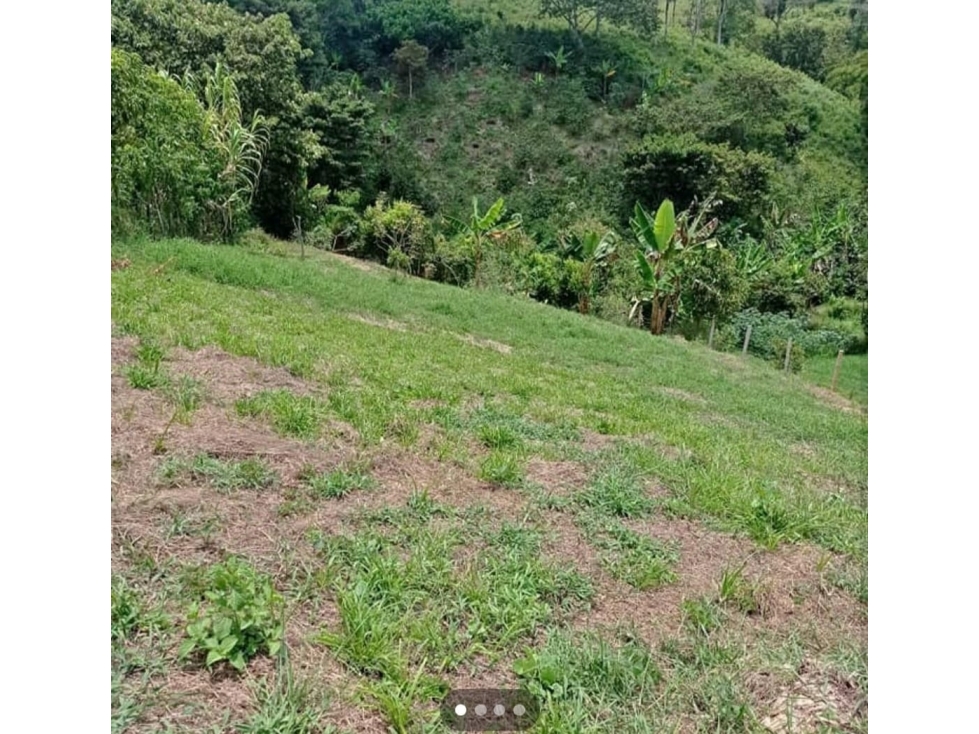 SE VENDE LOTE EN ARABIA TIENE CARRETERA PAVIMENTADA — foto 4