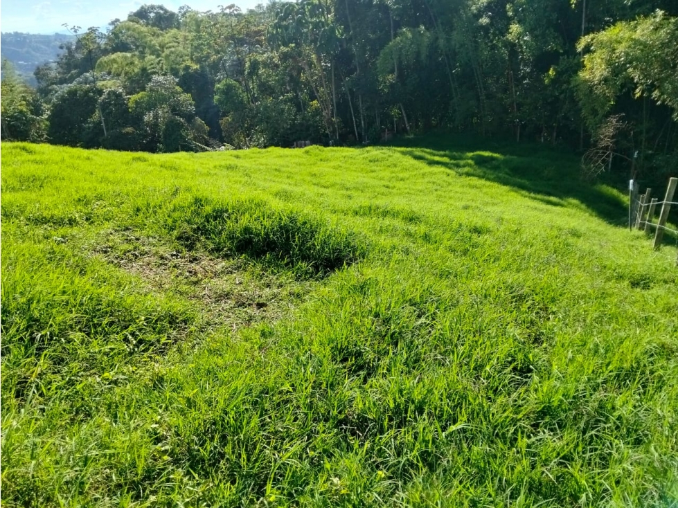 SE VENDE LOTE EN LA BELLA AREA 2620.60 M2 PARA LA CASA DE SUS SUEÑOS — foto 6