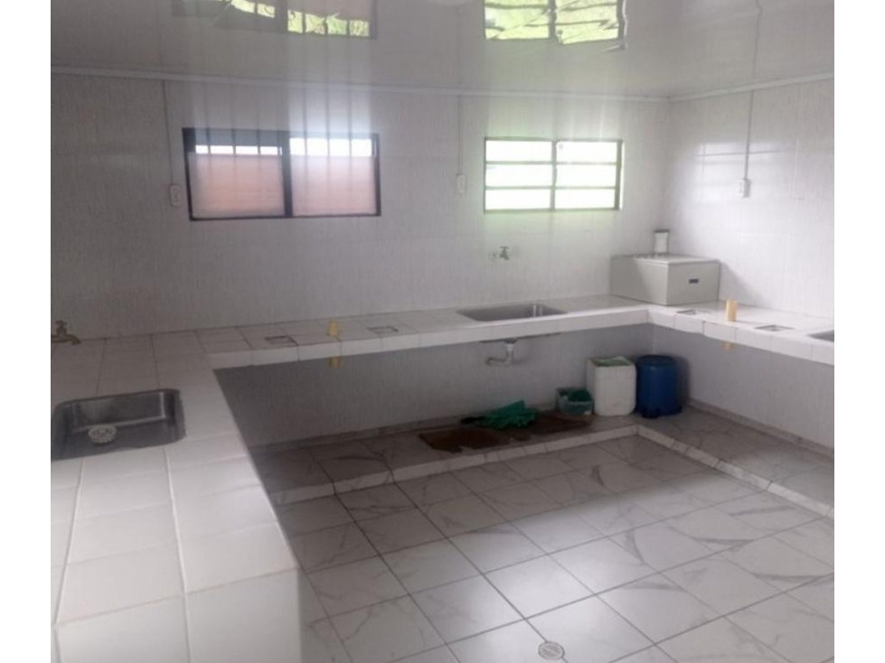 Venta de FINCA de Versalles- Antioquia — foto 4