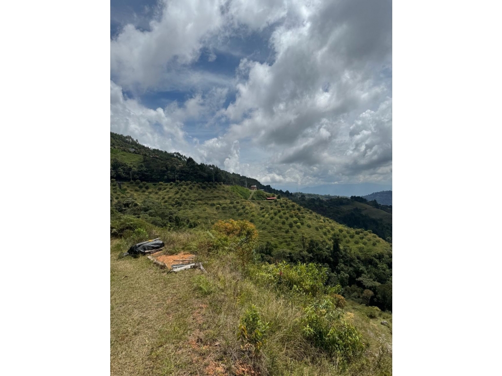 Venta de FINCA de Versalles- Antioquia