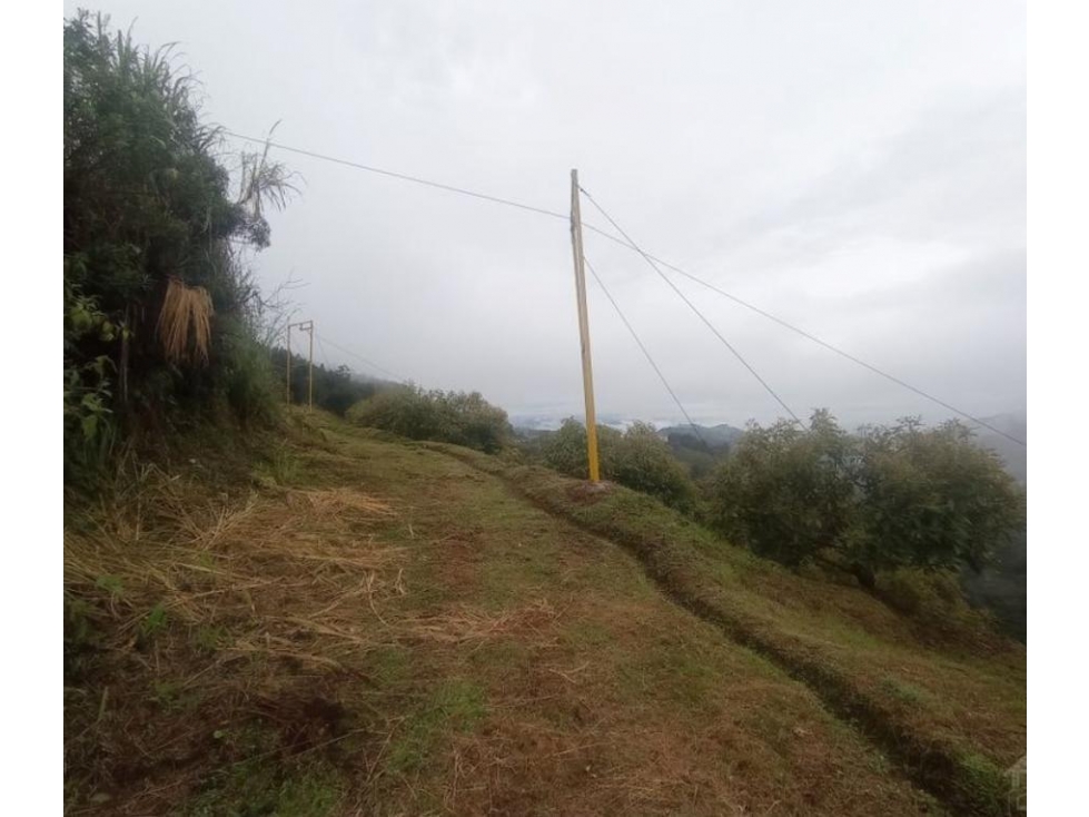 Venta de FINCA de Versalles- Antioquia — foto 6