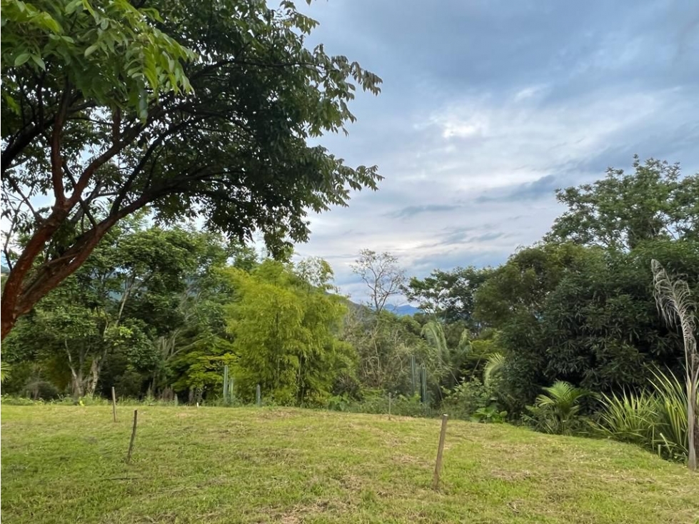VENTA DE LOTE EN VÍA BOLOMBOLO - VENECIA - 2