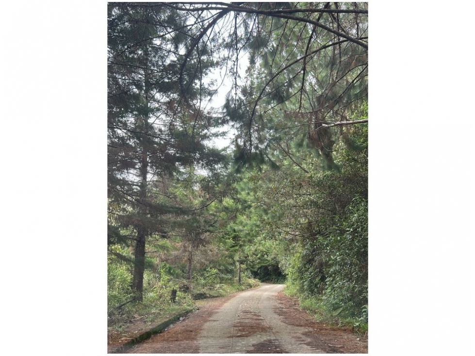 SE VENDE LOTE EN LOS MONJES - BENEDICTINOS GUATAPE - 5