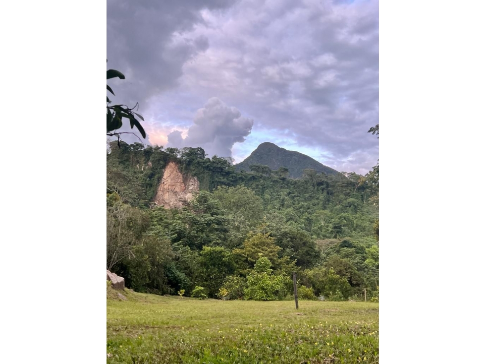 VENTA DE LOTE EN VÍA BOLOMBOLO - VENECIA - 6