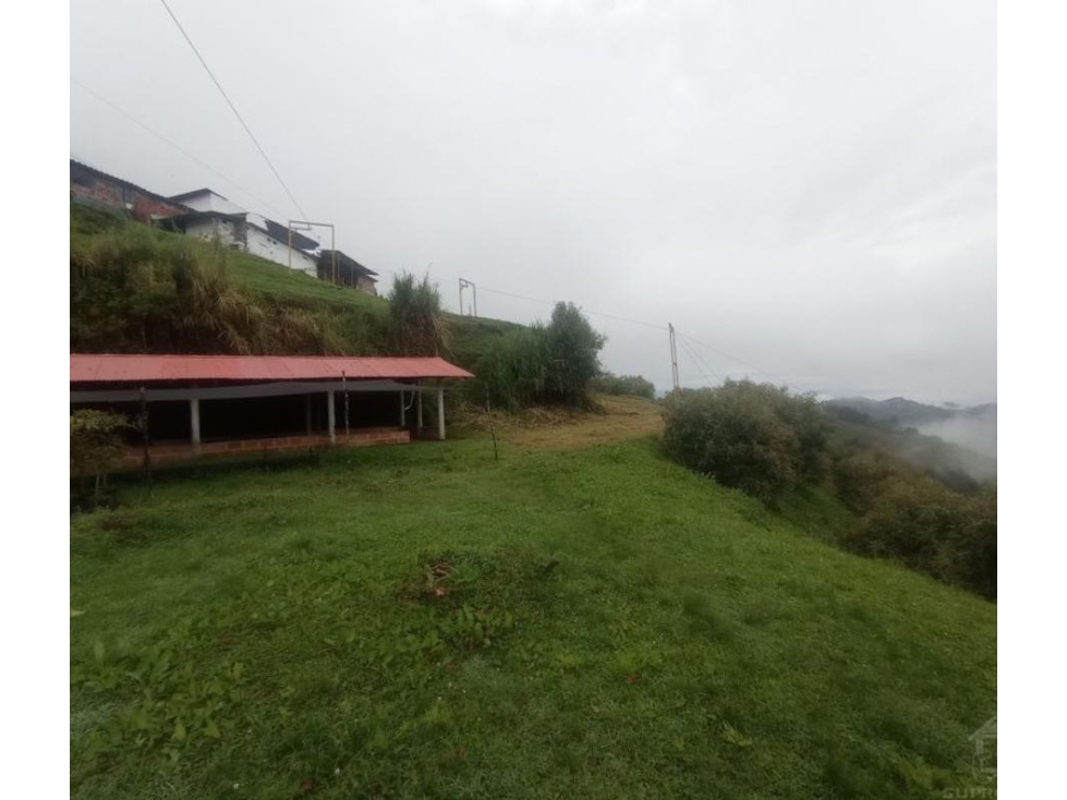 Venta de FINCA de Versalles- Antioquia — foto 3