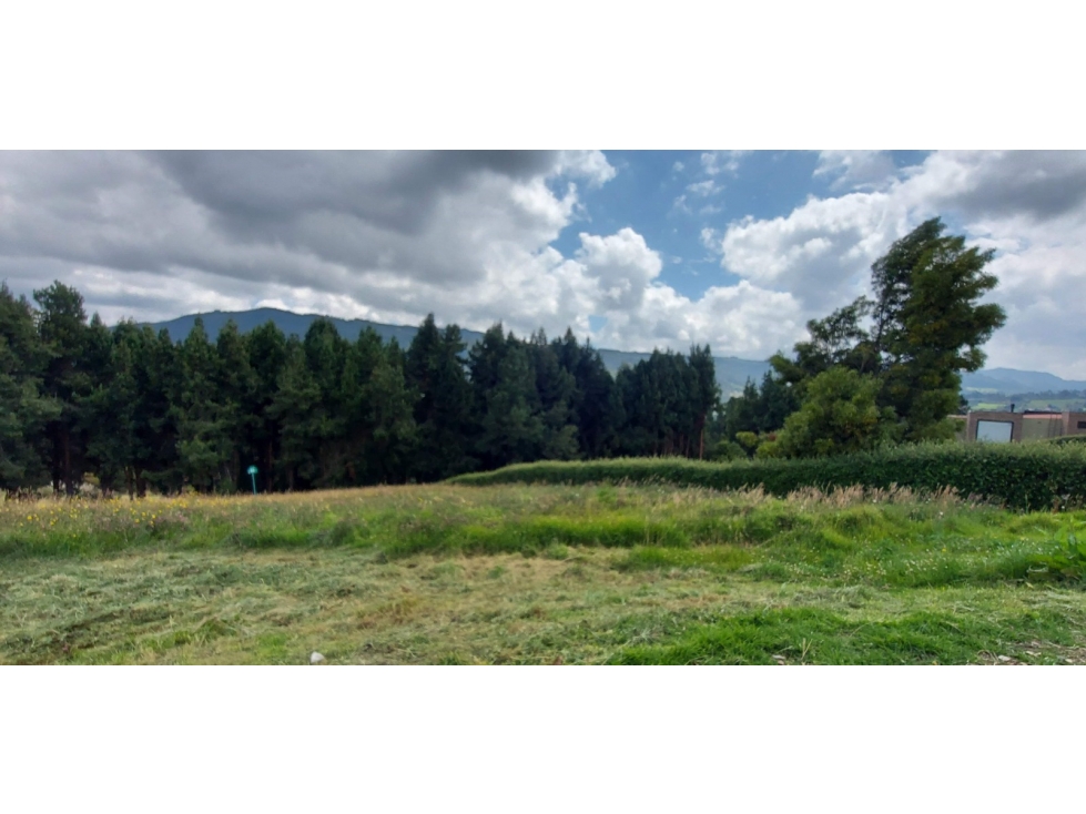 VENDO LOTE URBANIZADO LA CALERA $600 M.M. - 4