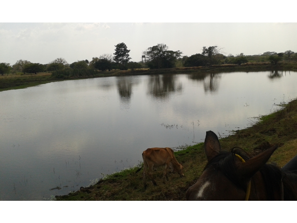 FINCA EN VENTA, MAHATES, BOLIVAR