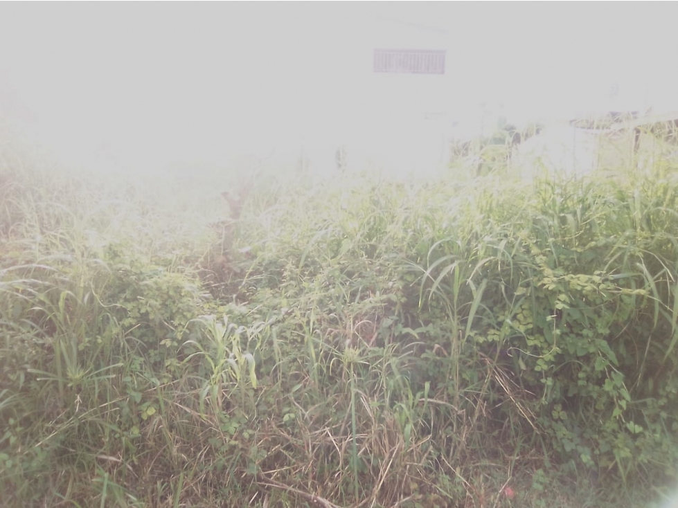 LOTE EN VENTA, TURBACO, BOLIVAR — foto 4