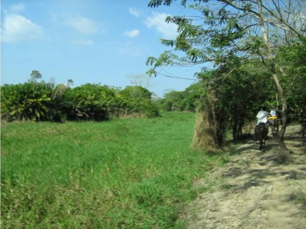 FINCA EN VENTA, ACHI, BOLIVAR - 1